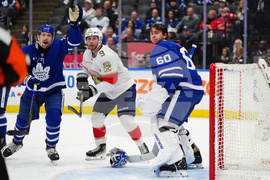 Panthers Maple Leafs Hockey