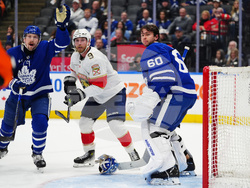 Panthers Maple Leafs Hockey