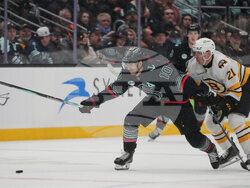 Bruins Kraken Hockey