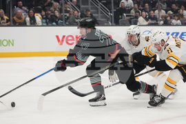 Bruins Kraken Hockey