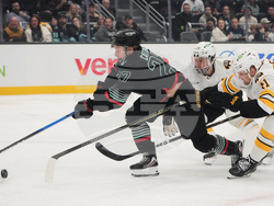 Bruins Kraken Hockey