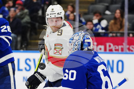 Panthers Maple Leafs Hockey