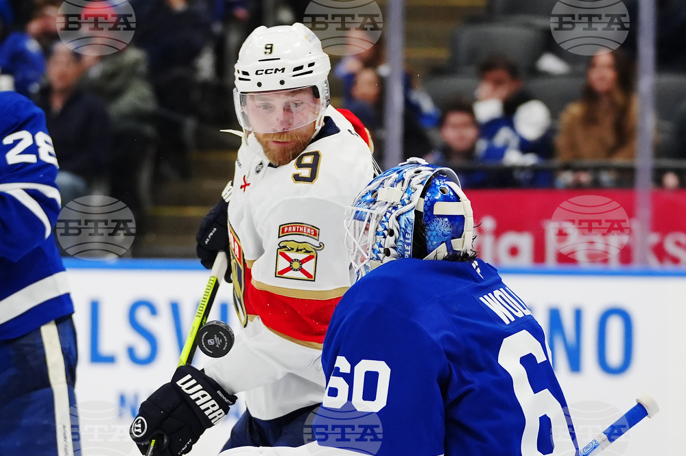 Panthers Maple Leafs Hockey