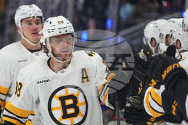 Bruins Kraken Hockey