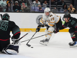 Bruins Kraken Hockey