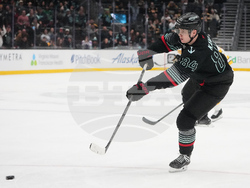 Bruins Kraken Hockey