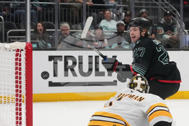 Bruins Kraken Hockey