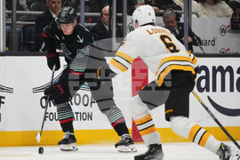 Bruins Kraken Hockey