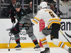 Bruins Kraken Hockey