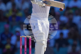 Australia England Cricket