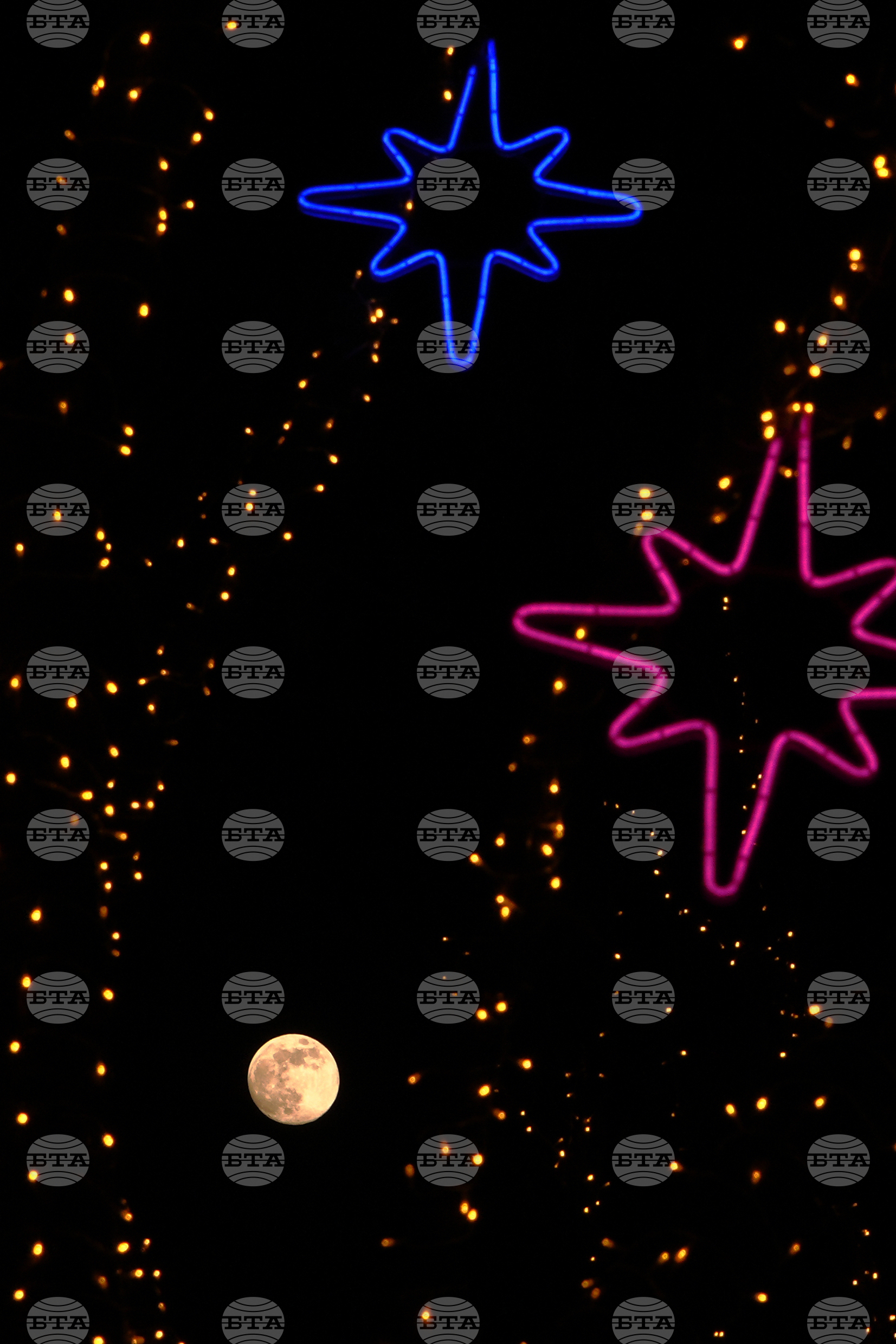 Top Vertical Photos Photo Gallery