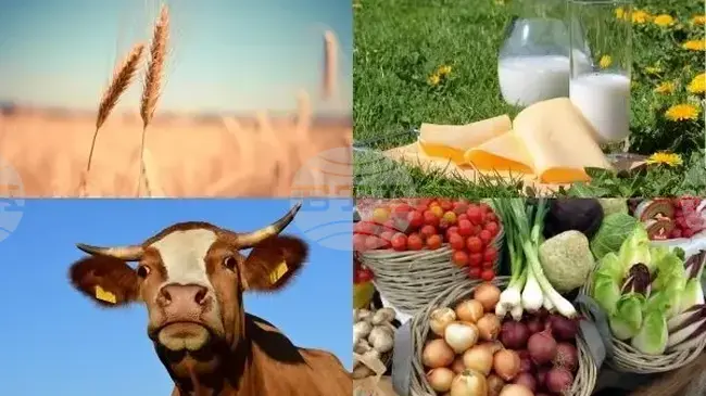 КАБАР: Износът на киргизстанска продукция набира скорост 