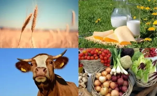 КАБАР: Износът на киргизстанска продукция набира скорост 