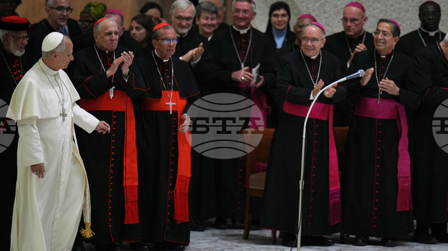 Папа Лъв Четиринадесети свика кардиналите от цял свят на двудневно заседание във Ватикана