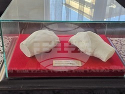 Добрич - маестро Захари Медникаров - годишнина