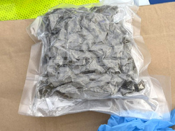 Шумен - наркотици - задържан