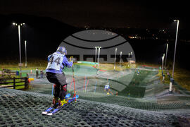 OLY SKI Ryding's Plastic Slope Skiing