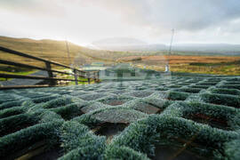 OLY SKI Ryding's Plastic Slope Skiing