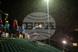 OLY SKI Ryding's Plastic Slope Skiing