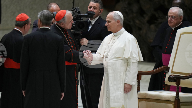 Папата ще провежда редовни годишни срещи на кардиналите 