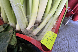 Благоевград - пазарен ден