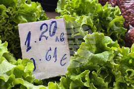 Благоевград - пазарен ден