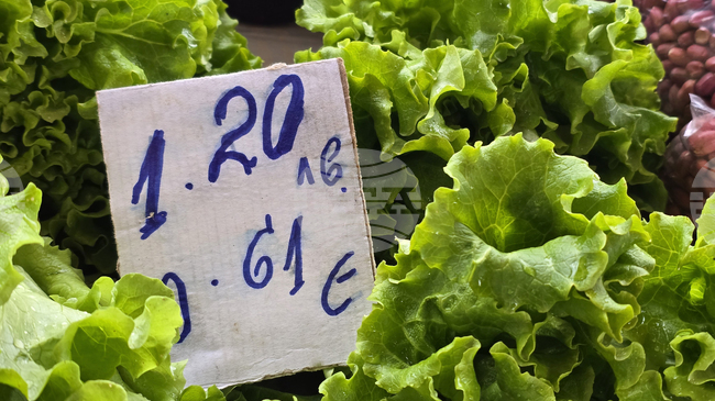 System for Agricultural Market Information Reports Market Balance after Early-Month Seasonal Price Rise