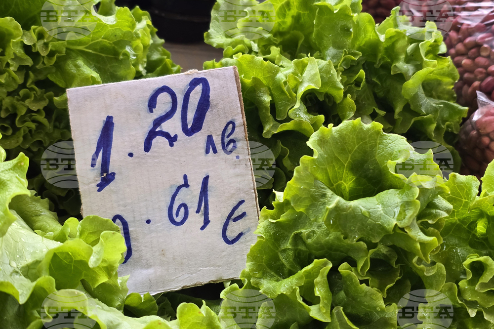 System for Agricultural Market Information Reports Market Balance after Early-Month Seasonal Price Rise