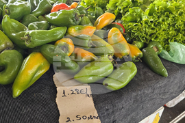 Благоевград - пазарен ден