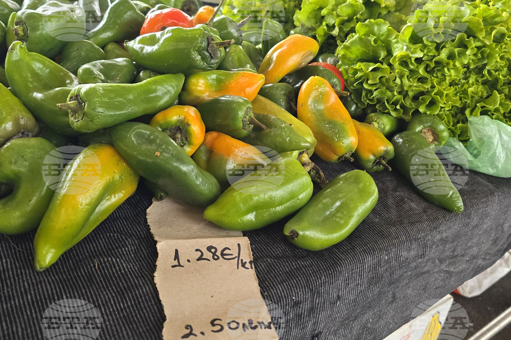 Fresh Pepper Prices Up by Over 50% Nationwide, Imported Citrus Fruits Cheaper - Agricultural Market Information System