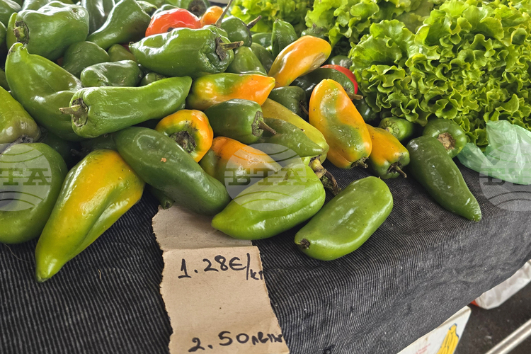 Fresh Pepper Prices Up by Over 50% Nationwide, Imported Citrus Fruits Cheaper - Agricultural Market Information System