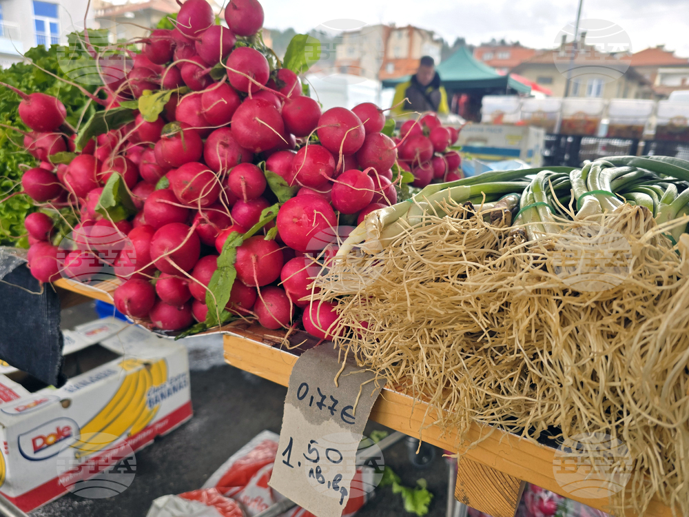 Благоевград - пазарен ден