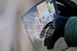 France Bardot Funeral