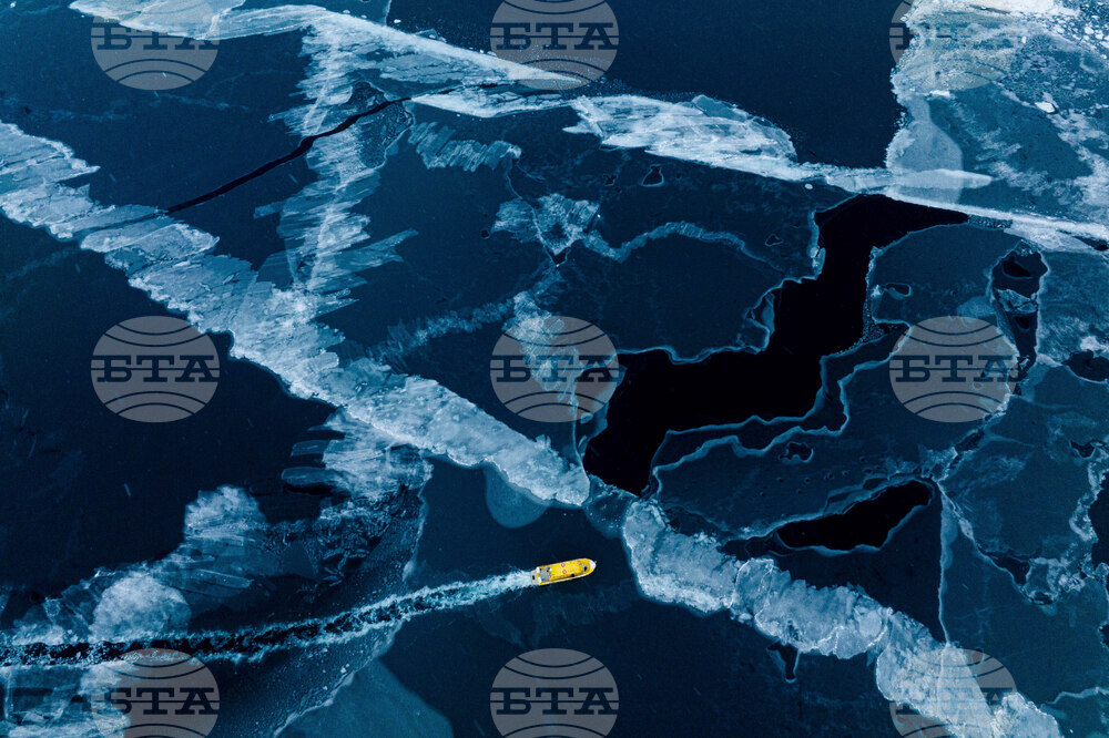 Denmark Greenland Trump