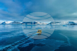 Denmark Greenland Trump