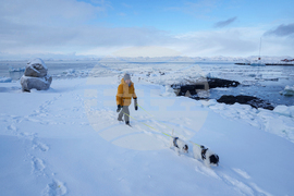 Denmark Greenland Trump