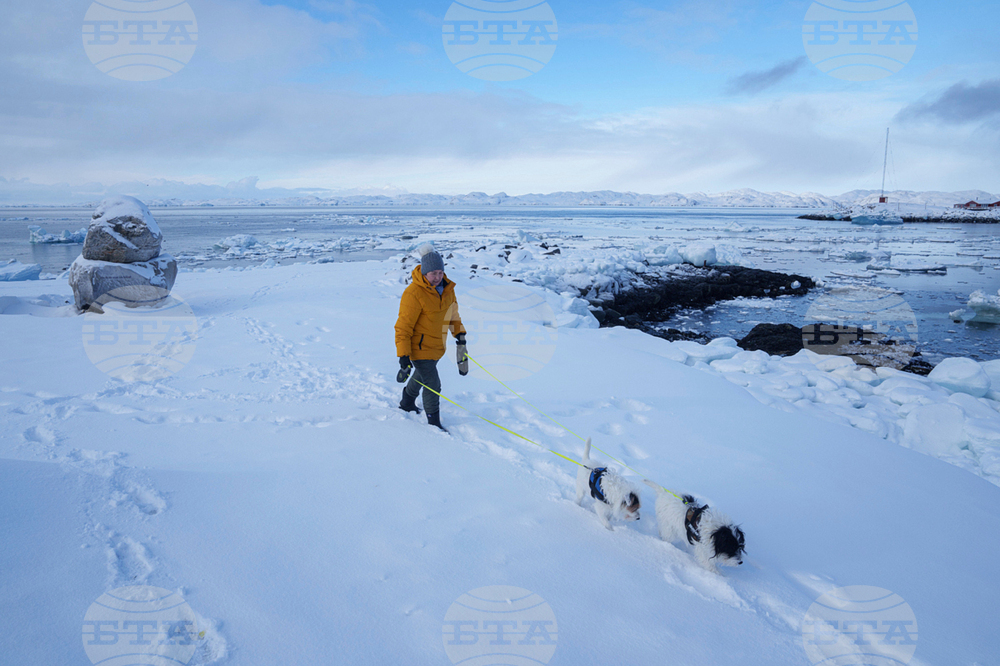 Denmark Greenland Trump