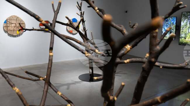 Красимир Терзиев изследва времето като инструмент на контрол, през който се пренареждат отношенията между природа, технология и образ