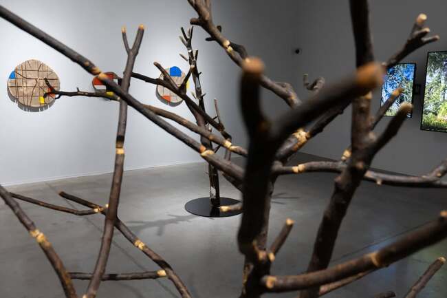 Красимир Терзиев изследва времето като инструмент на контрол, през който се пренареждат отношенията между природа, технология и образ