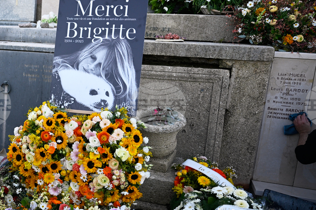 Брижит Бардо е погребана с тениска и брошка с изображение на тюлен - нейното любимо животно