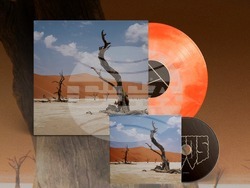 Финландско-британското дуо Nyos се завръща в България за концерти в София и Пловдив, снимка – „Аларма пънк джаз"