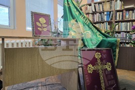 Панагюрище - библиотека - урок