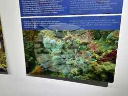 Снимка: Община Русе