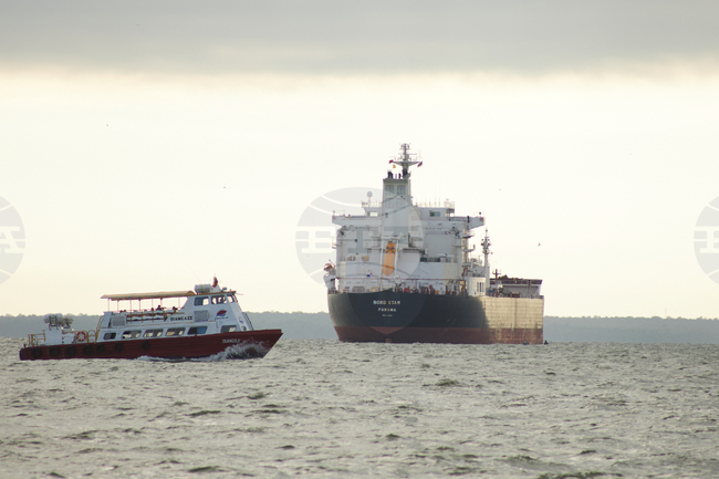 Петролните котировки са напът към седмичен растеж 