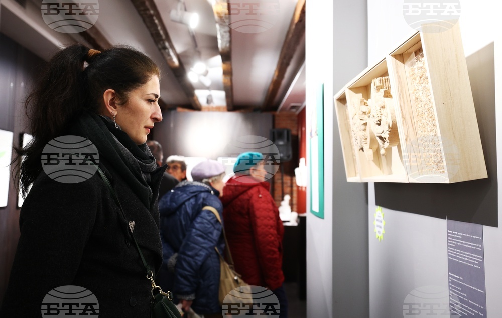 Иван Газдов - изложба „Дъжд 2“