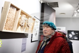 Иван Газдов - изложба „Дъжд 2“