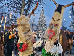 Долна Митрополия - кукерски игри - шествие