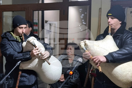 Долна Митрополия - кукерски игри - шествие