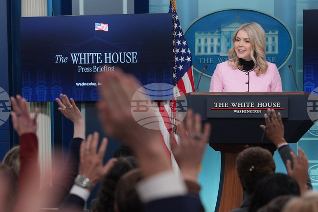 Покупката на Гренландия се обсъжда активно от Тръмп и неговия екип, каза говорителката на Белия дом