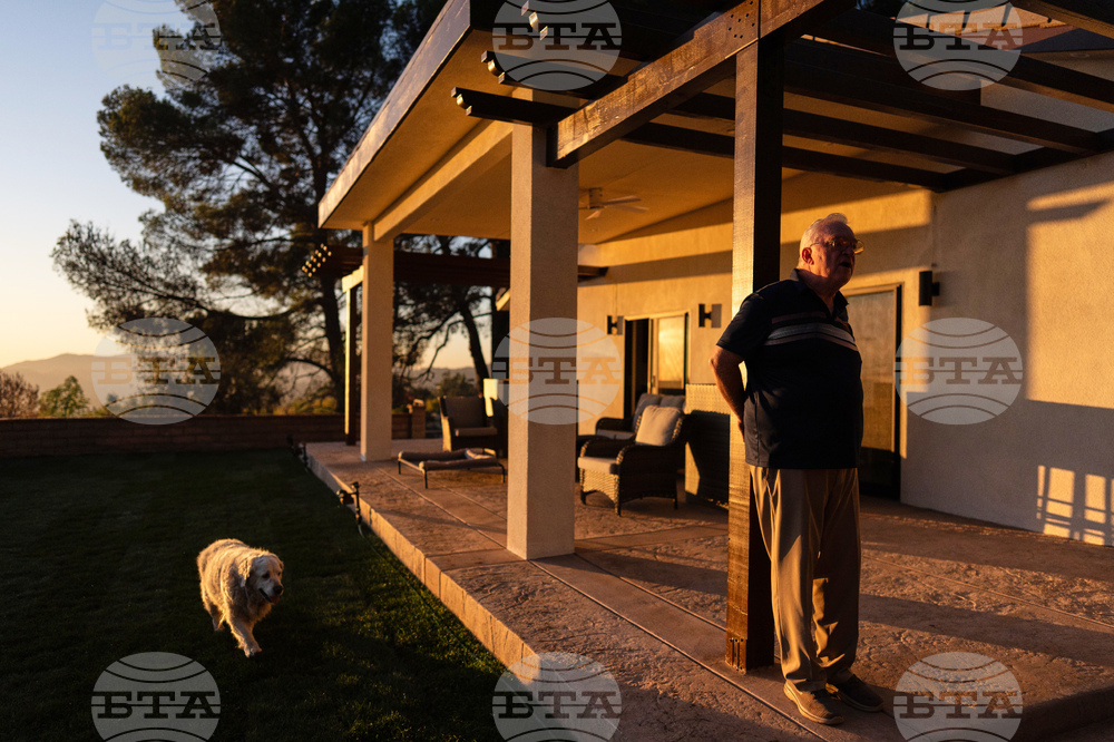 Los Angeles Wildfires Dog's Home